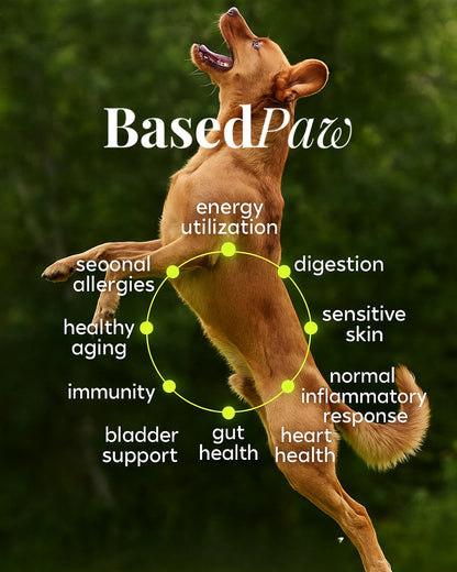 BasedPaw MultiGreens+